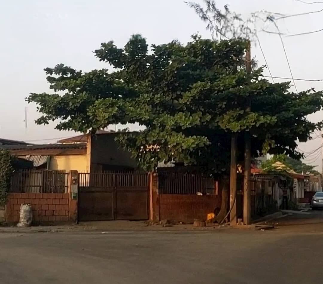 Oak view compound 